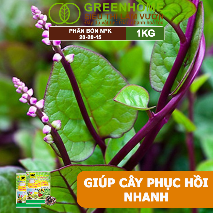 Phân Bón NPK 20-20-15, Greenhome, Đầu Trâu, 1Kg, Chuyên Hoa, Cây Cảnh Giúp Ra Hoa, Hoa Đẹp, Lâu Tàn