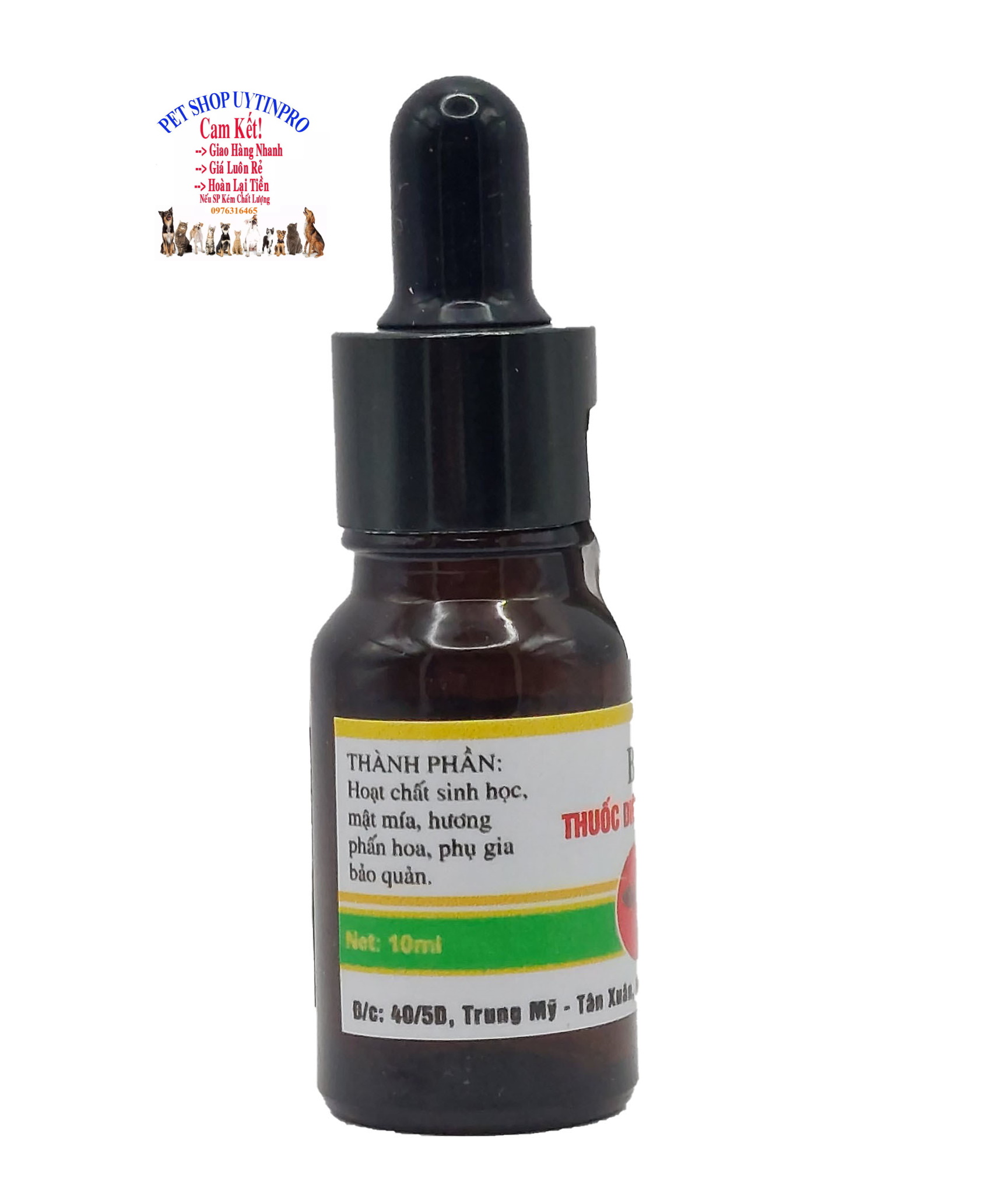 Thuốc diệt kiến gián sinh học BioPro Chai 10ml Dạng nhỏ giọt đậm đặc Giúp diệt sạch kiến gián tận gốc
