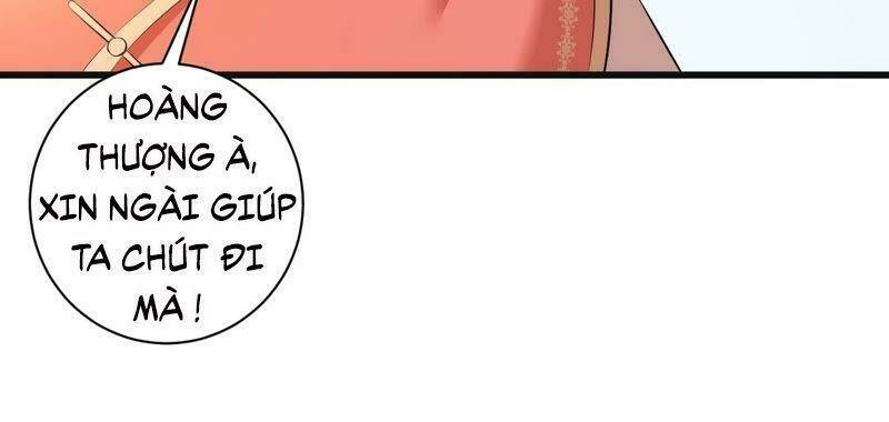 quận chúa vững vàng, thiết lập nhân vật không thể vỡ chapter 56 43