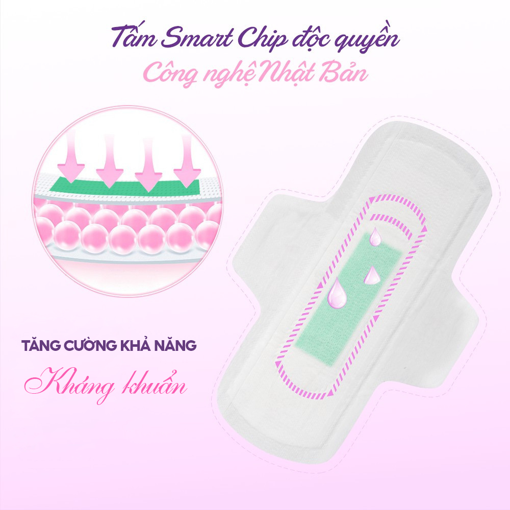 Combo 6 Băng vệ sinh thảo dược Doctor Care, BVS ban ngày 24cm siêu khô thoáng cả ngày dài