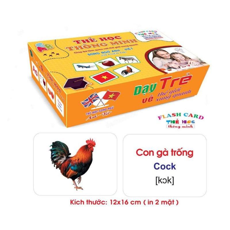 Bộ Thẻ Học Thông Minh 18 Chủ Đề TGXQ loại To song ngữ A-V loại chuẩn Glenn Doman Flashcard cho bé từ 0-6 tuổi