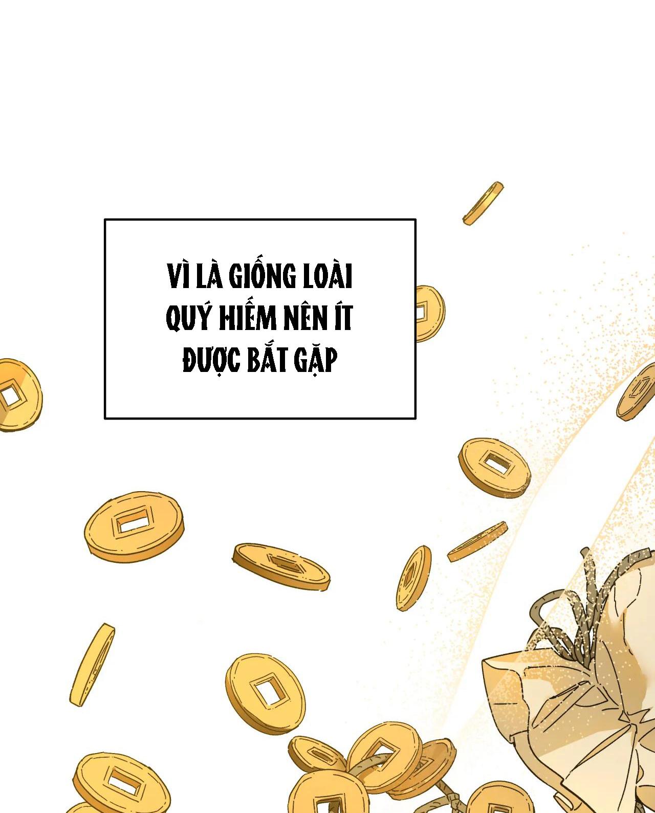 bl cổ trang - âu cổ ngắn nhà kim chapter 11.2 42