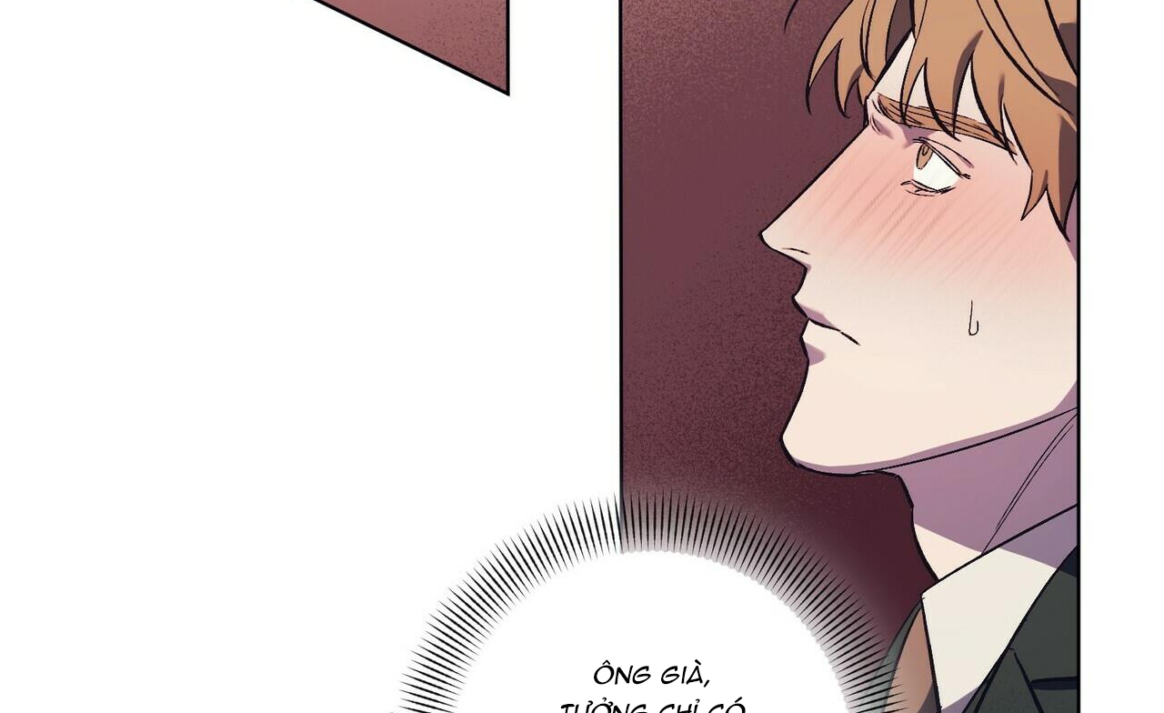 chàng dâu nhà họ kang chapter 16 124