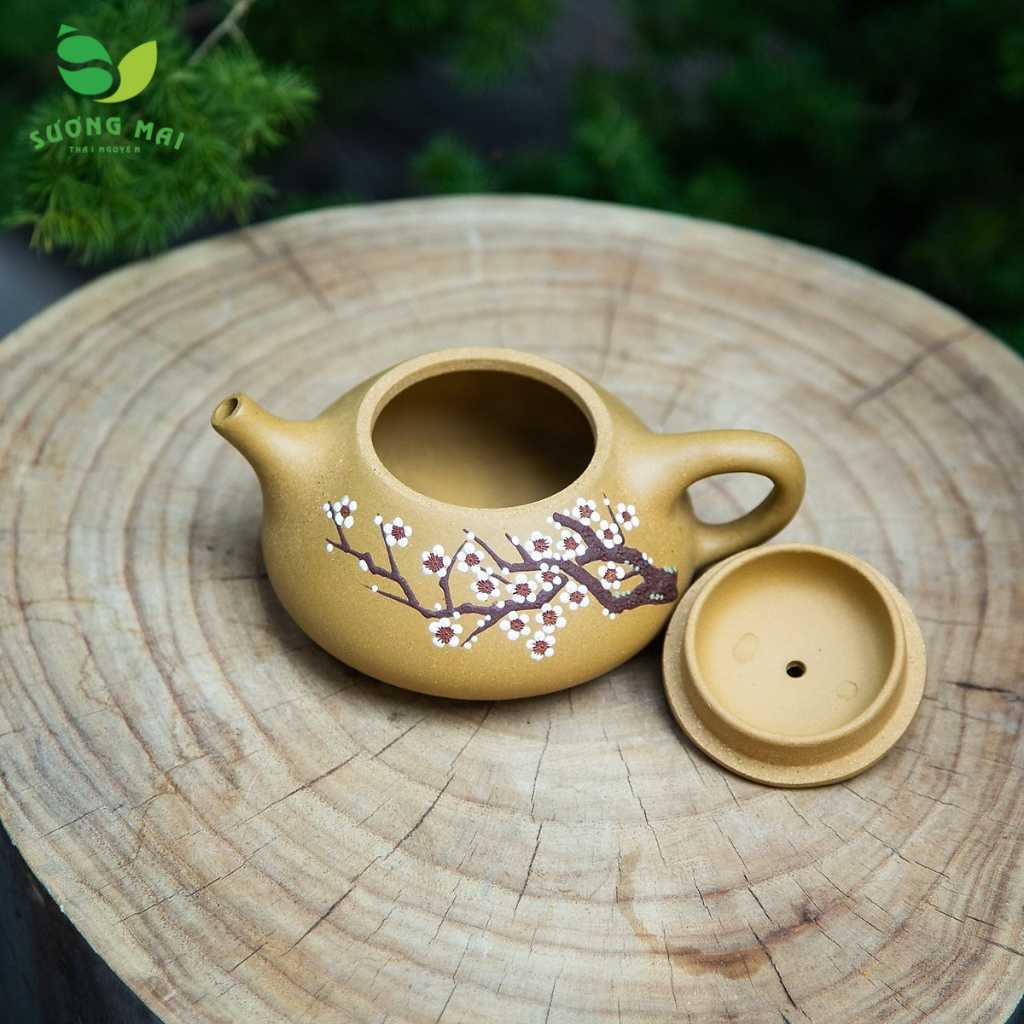 Ấm đoàn sa Thạch Biều Cổ Thụ Mai