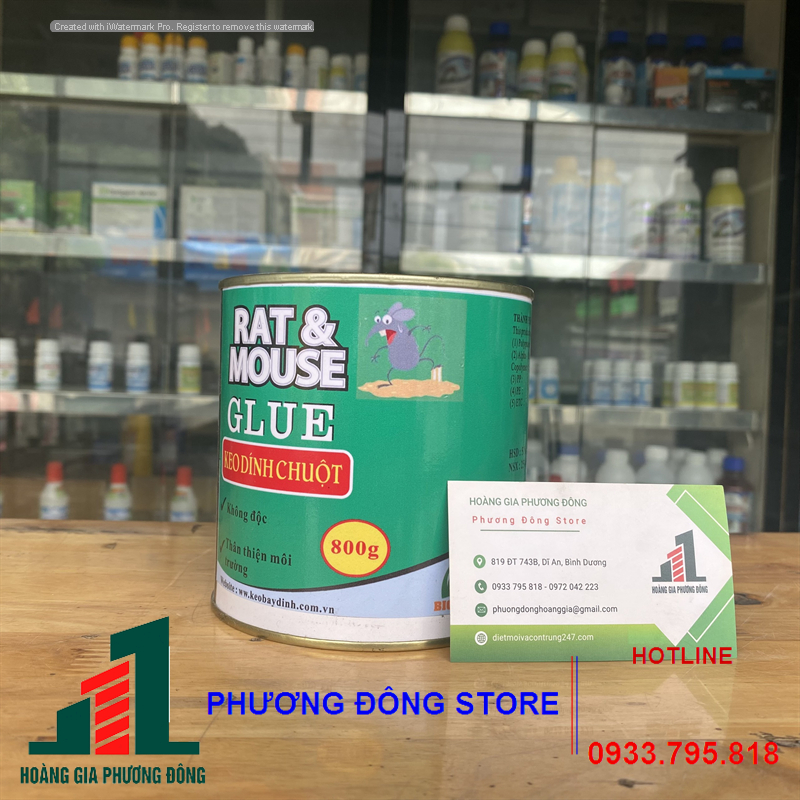 Keo bẫy chuột dạng lon_lon 800g