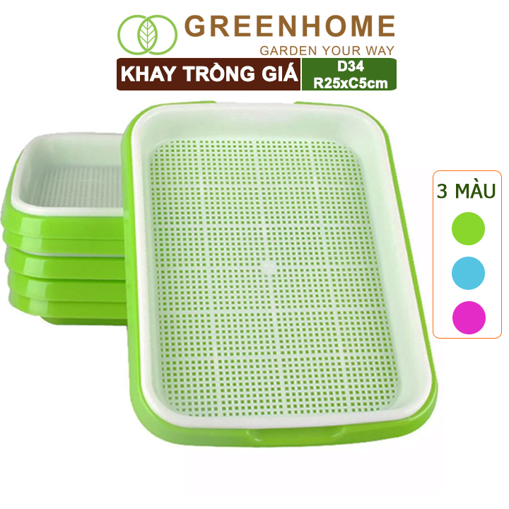 Bộ khay trồng giá, rau mầm, Greenhome, D34xR25xC5cm, nhựa nguyên sinh, an toàn, dễ trồng tại nhà, nhiều màu lựa chọn