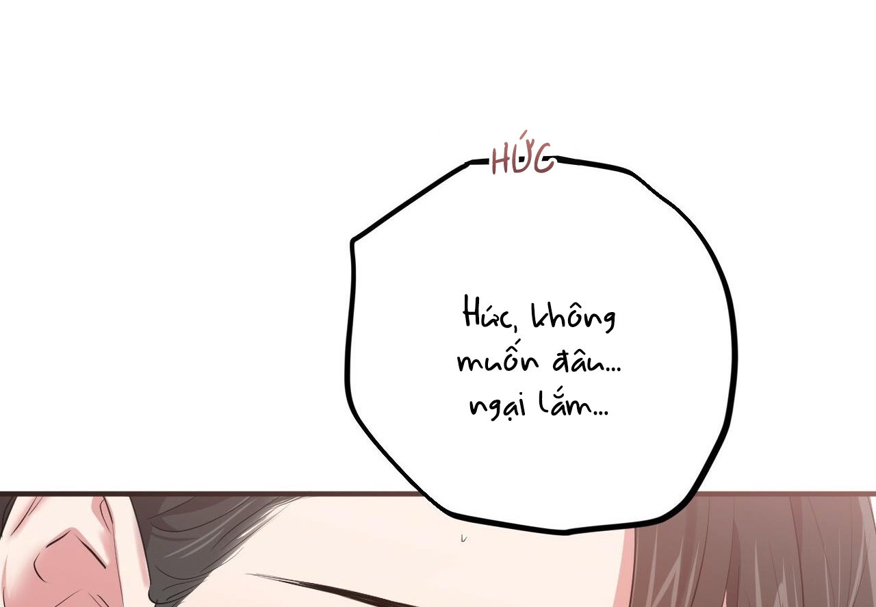 đàn thỏ của habibi chapter 38 118