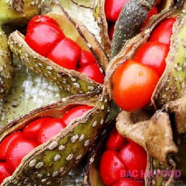 Sản phẩm CÂY DỔI GHÉP CÓ QUẢ SAU 2 NĂM TRỒNG