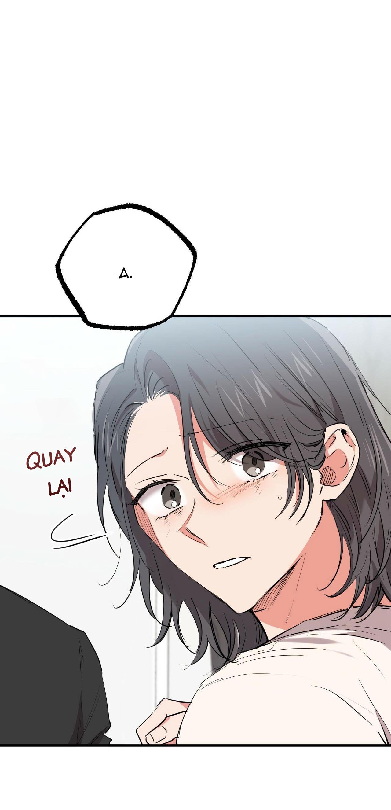 những chú thỏ của hapypy chapter 36 55