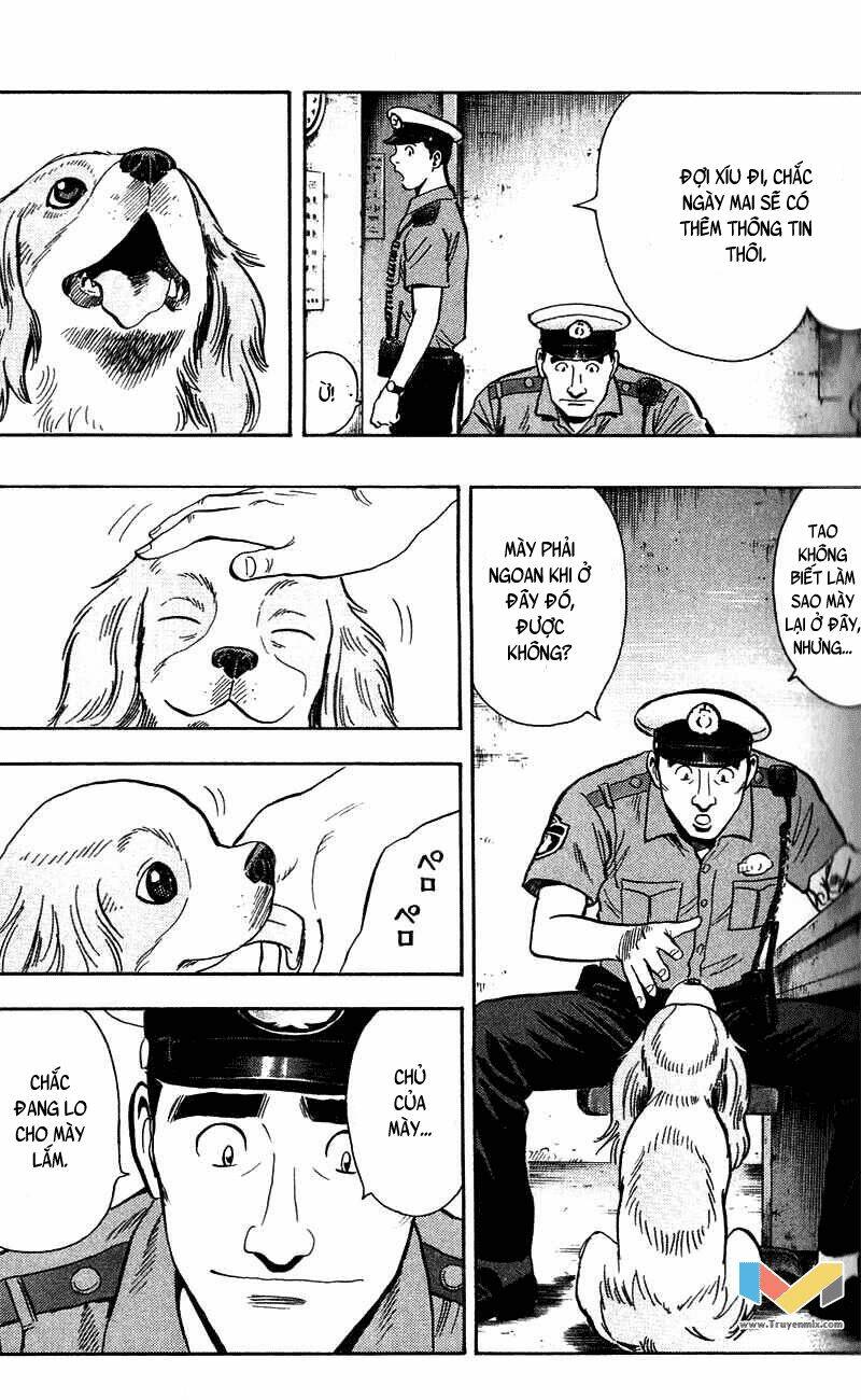 animal sense chapter 7 39