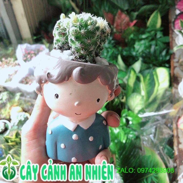 Chậu Xương Rồng Trứng Chim