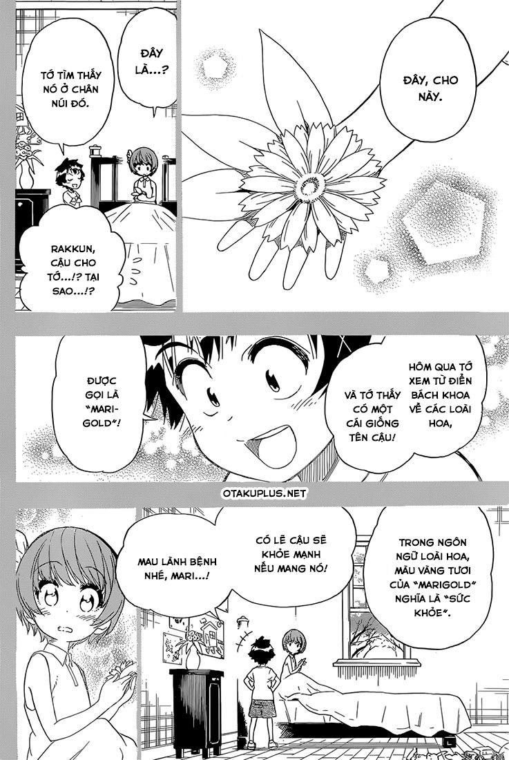 nisekoi - tình yêu giả tạo chapter 188 19