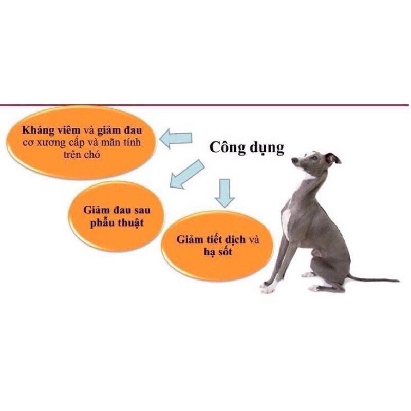 1 viên Inflacam giúp giảm đau giảm viêm cho chó