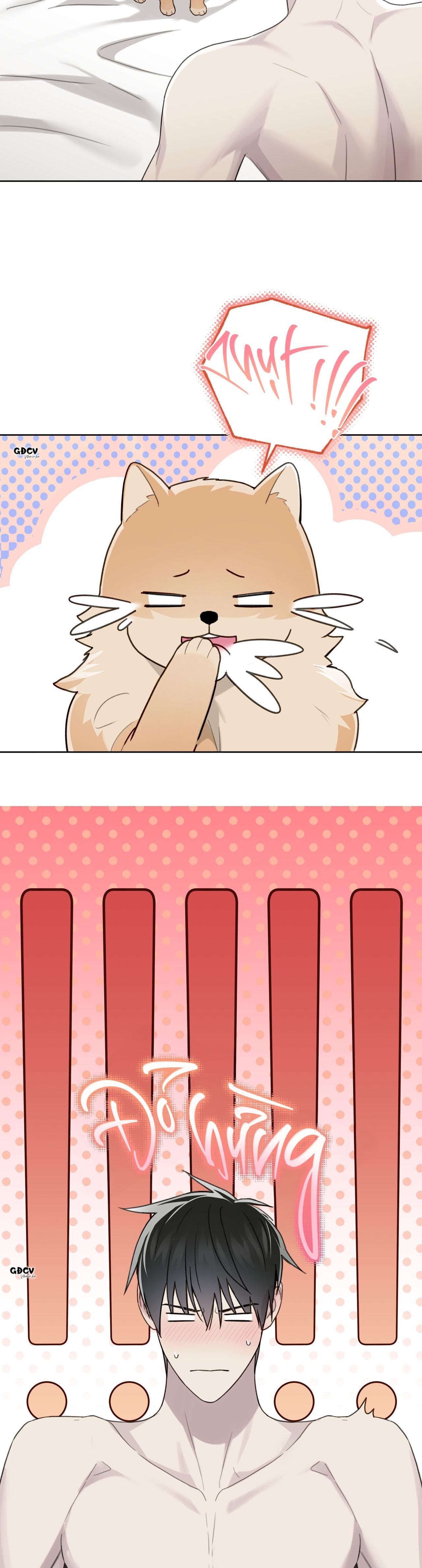 hiểm họa guiding chapter 49 8