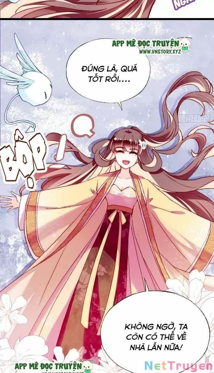 lại bị bệnh chiều chuộng quấn lấy chapter 11 36