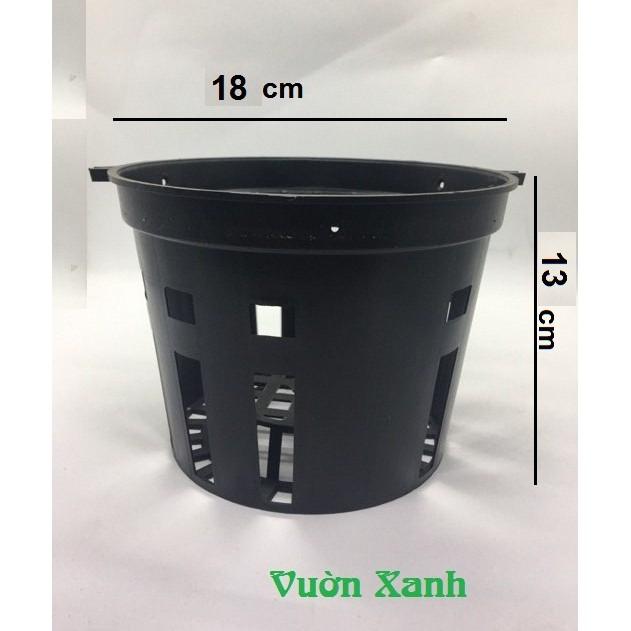 Combo 10 chậu lan đen phi 18 kèm 10 móc kẽm 70cm
