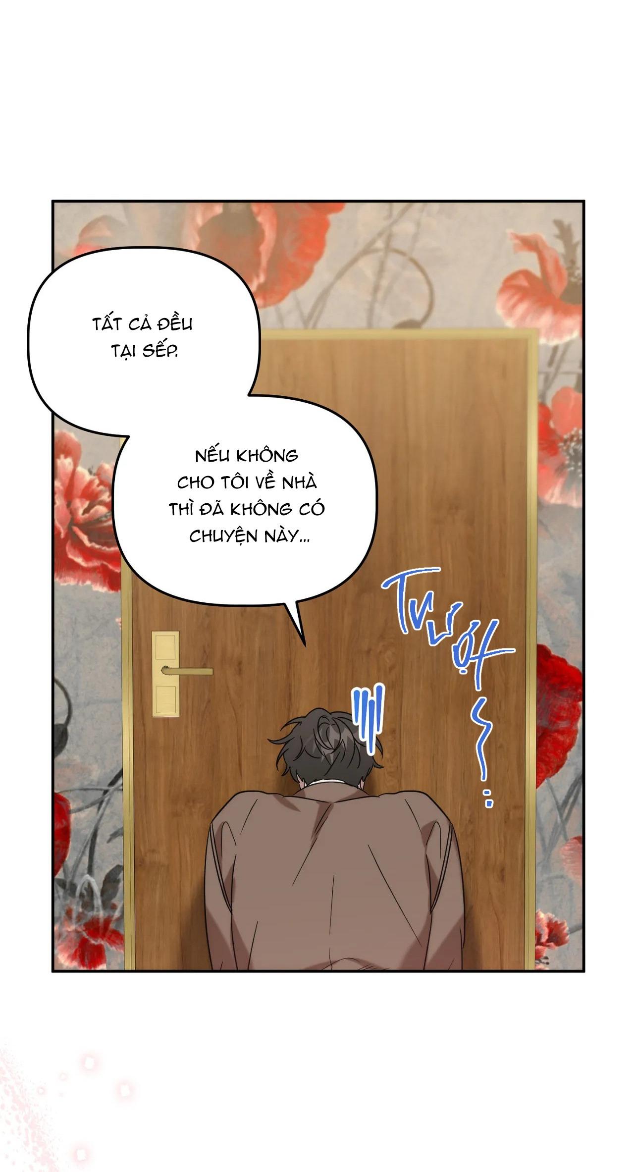 đã hiểu chưa chapter 28 41