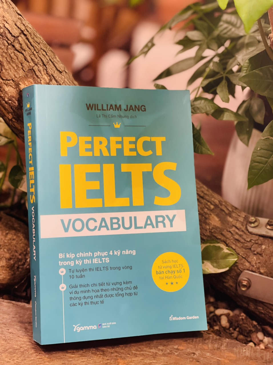 PERFECT IELTS VOCABULARY - Bí Kiếp Chinh Phục 4 Kỹ Năng Trong Kỳ Thi IELTS - William Jang – Lê Thị Cẩm Nhung dịch - Alphabooks - Nhà Xuất Bản Dân Trí