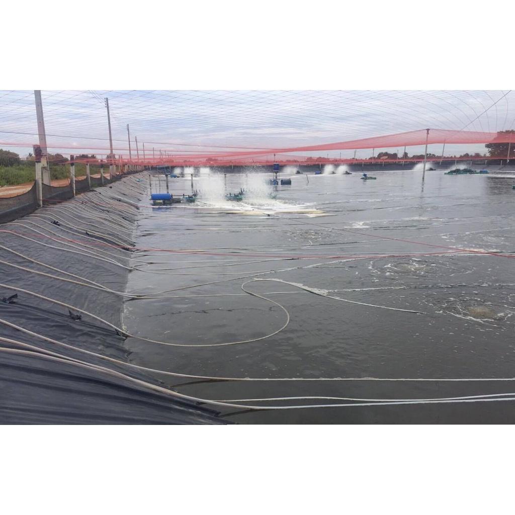 Bạt HDPE, Bạt lót hồ ốc, bạt lót hồ nuôi tôm, cá, ếch, lươn... bằng màng HDPE