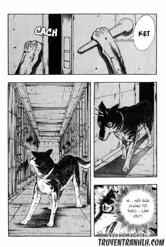 inugami chapter 13 5