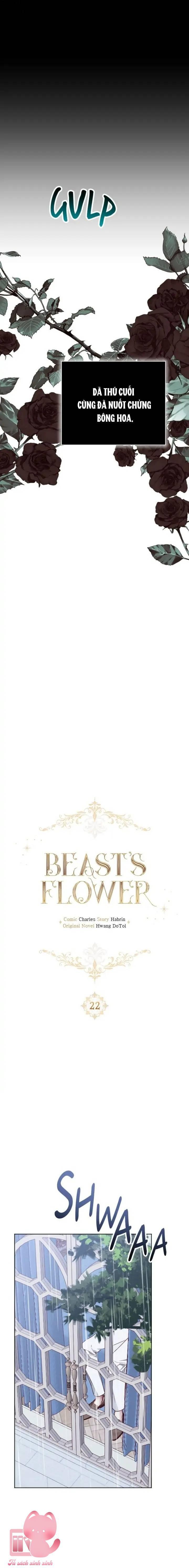 đoá hoa của dã thú chapter 22 7
