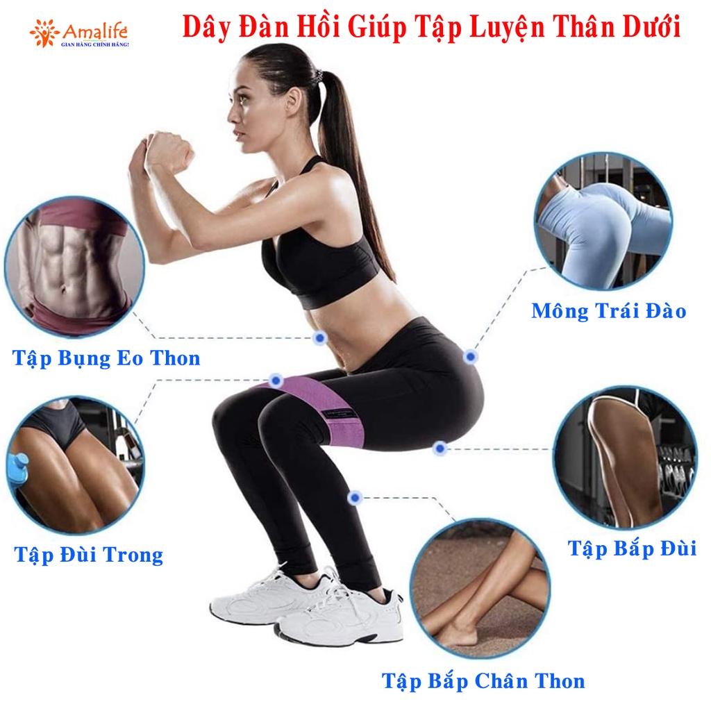 Dây Kháng Lực Đàn Hồi Tập Mông Trái Đào Mini Band Hỗ Trợ Tập Chân, Đùi, Gym Cao Cấp Chính Hãng Amalife