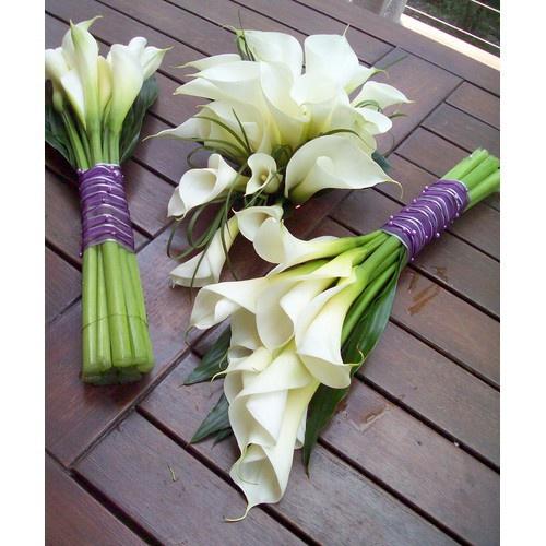 Combo 5 củ giống hoa rum đủ màu - củ giống hoa - CHRDL