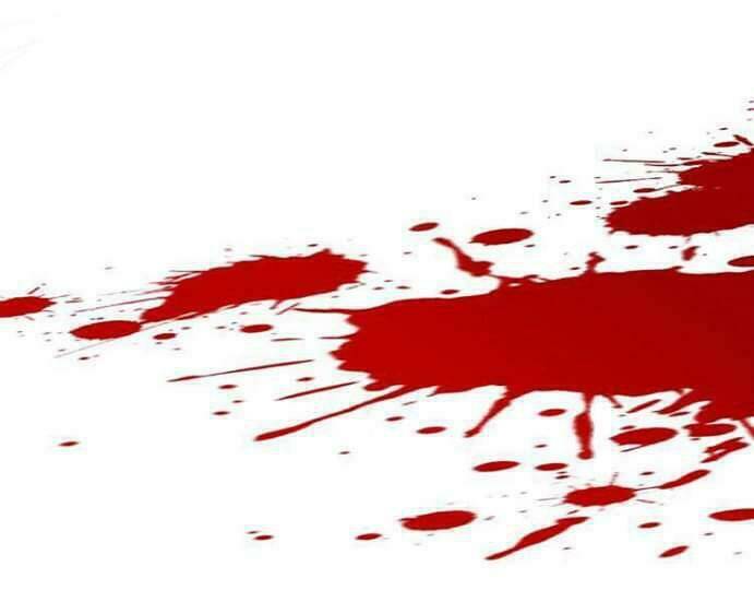 sự tái sinh của nhiếp chính chapter 1 102