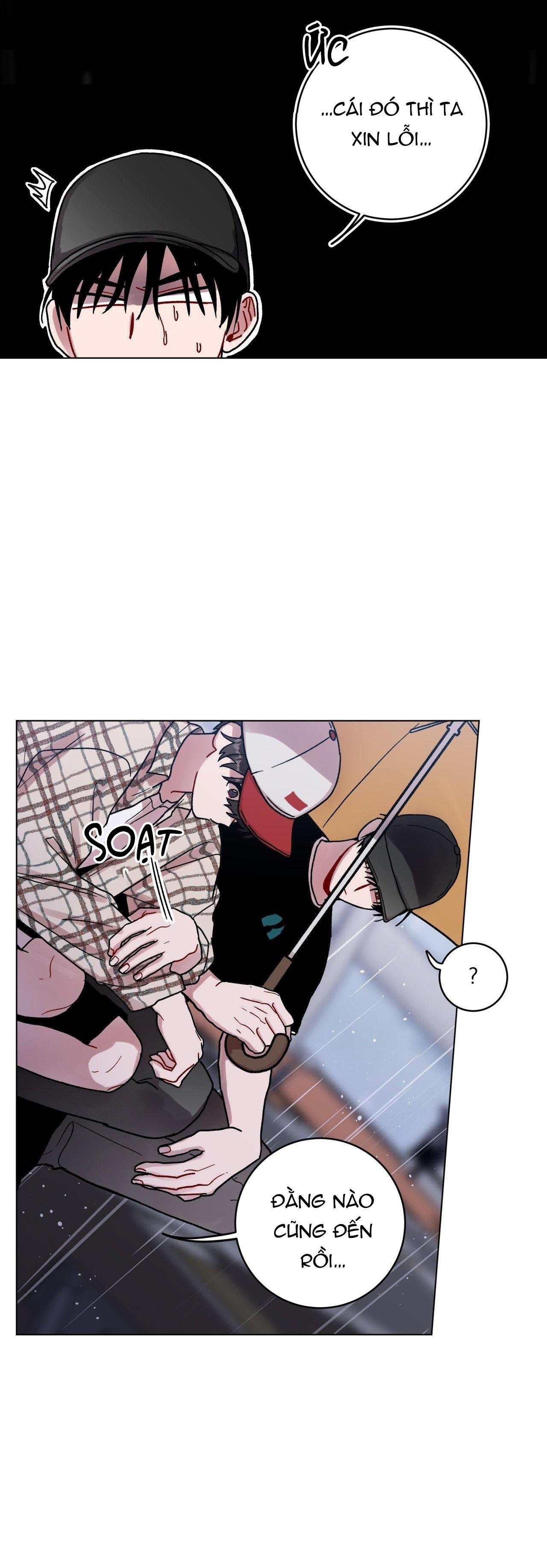 cơn mưa rào mùa hạ chapter 77 14