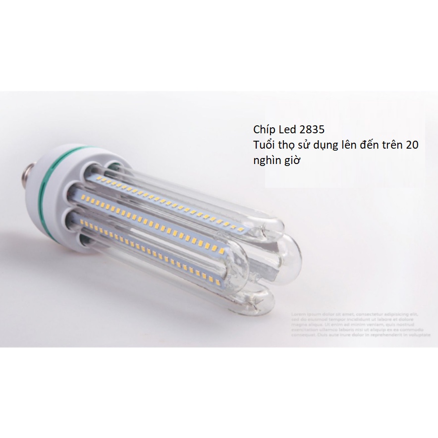 Bóng Bulb Chữ U 5W/9W/12W/16W/24W/32W/40W Chíp Led 2835 Mạch Kín Chống Nước Hàng Chính Hãng