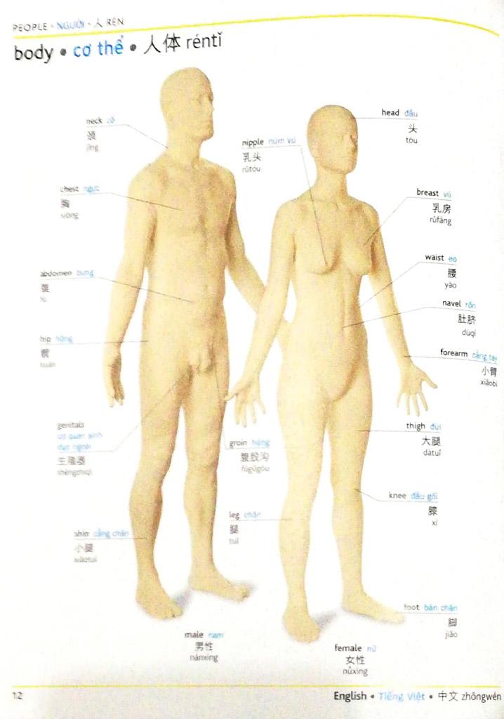 Visual English Vietnamese Chinese Trillingual Dictinonary