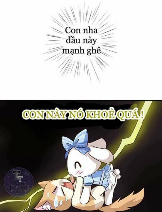 dưới móng vuốt mèo chapter 5 30