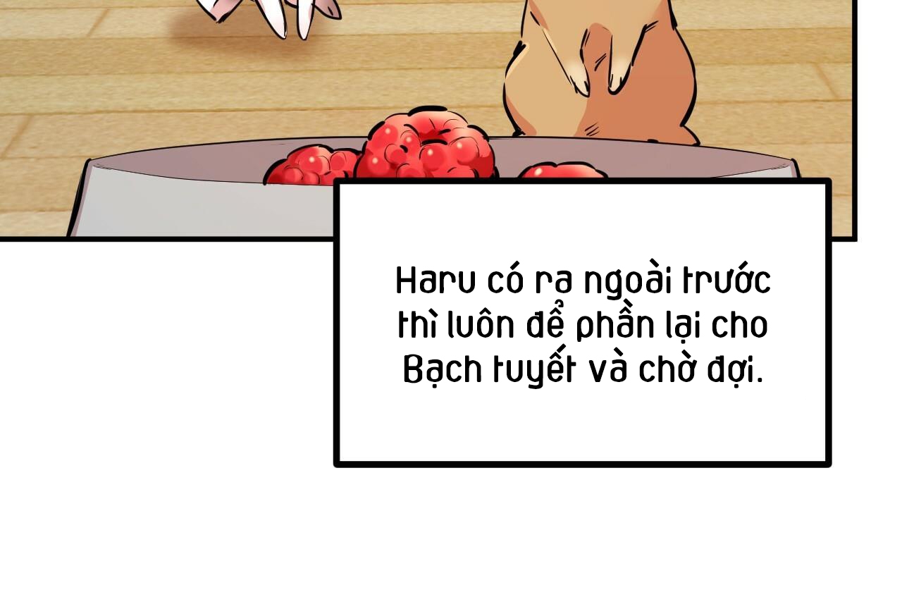 đàn thỏ của habibi chapter 28 154
