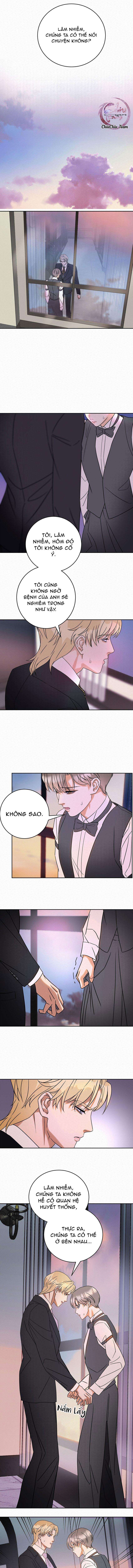 anh trai rẻ tiền của tôi chapter 19 6