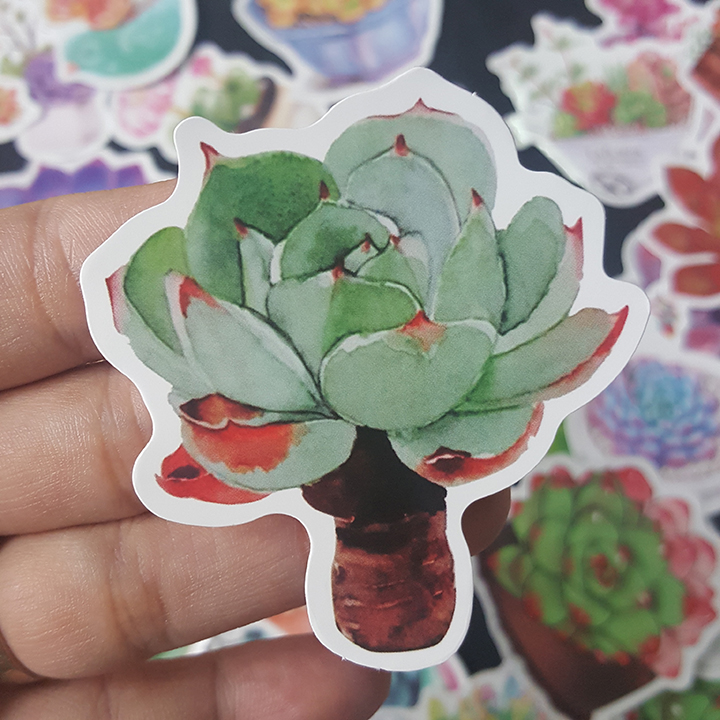 Bộ Sticker dán cao cấp chủ đề SEN ĐÁ SUCCULENTS - Dùng dán Xe, dán mũ bảo hiểm, dán Laptop