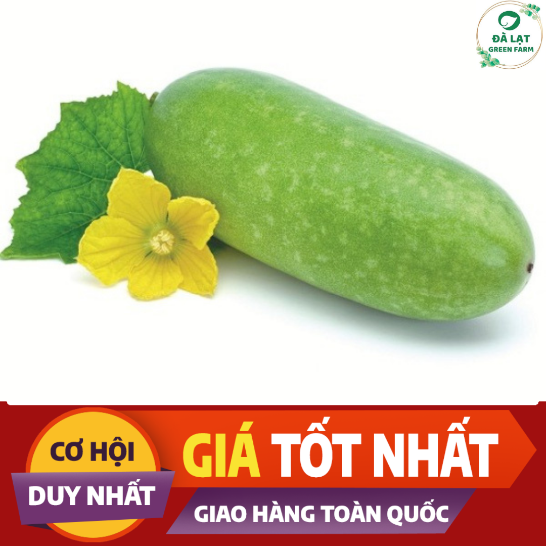 Hạt giống Bí Đao Chanh - nảy mầm cực chuẩn (15 hạt)