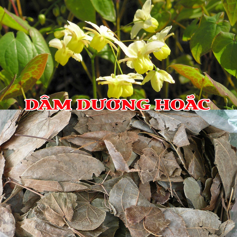 Dâm Dương Hoắc sao vàng hạ thổ 200g Đông Y Nghi Anh giúp bổ thận tráng dương mạnh gân cốt