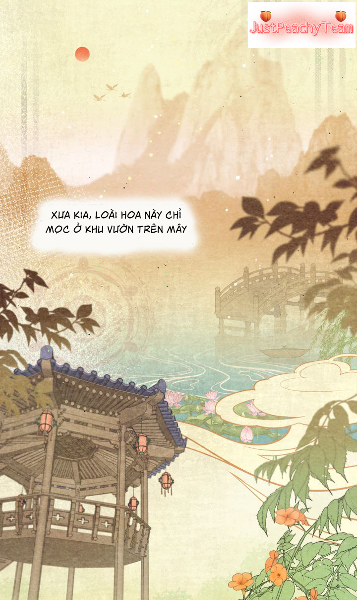 khi những nụ hoa nở rộ chapter 1 18