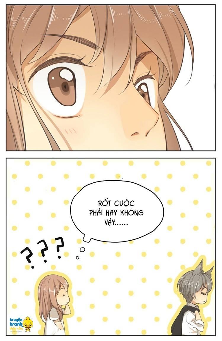 cứu mạng ! loài mèo thống trị thế giới rồi ! chapter 16 22