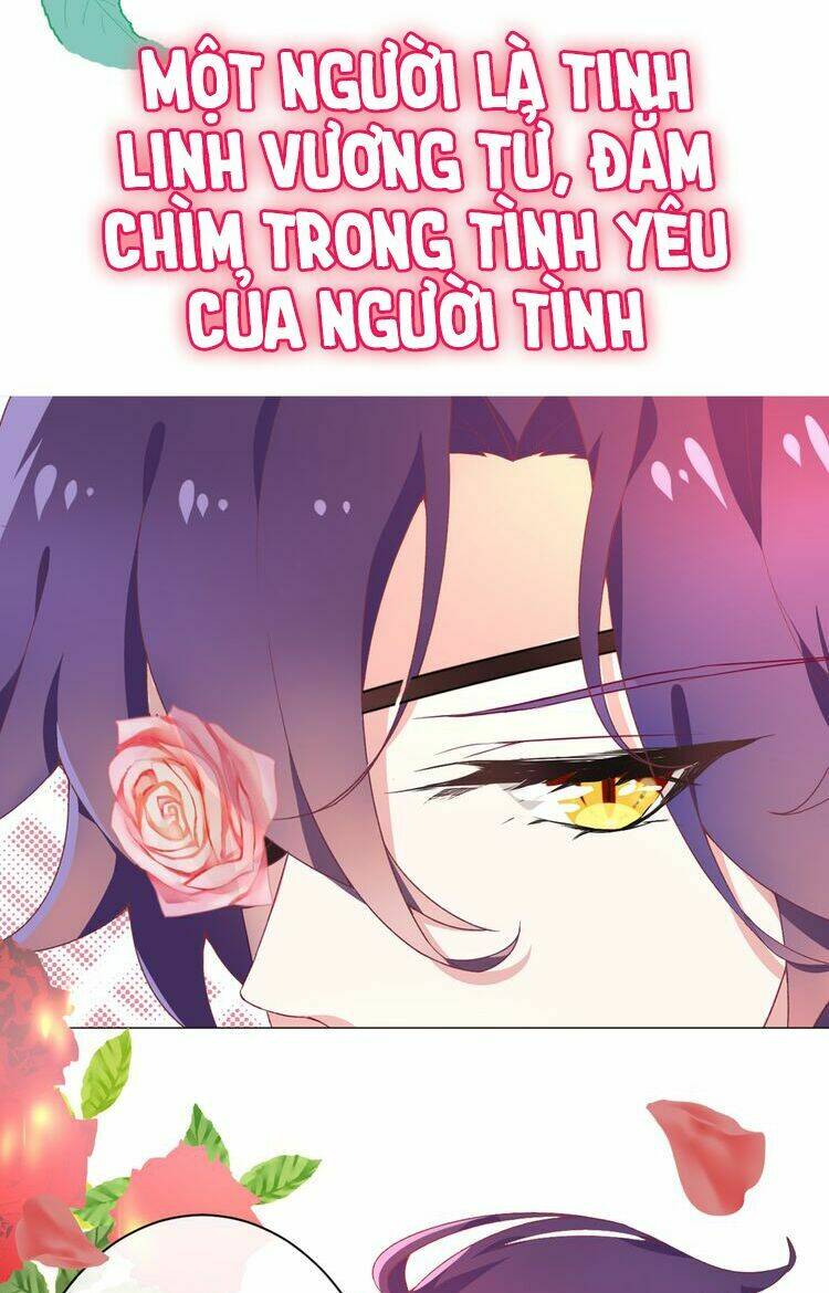 thuần bạch đích mệnh vận chi luân chapter 0 8