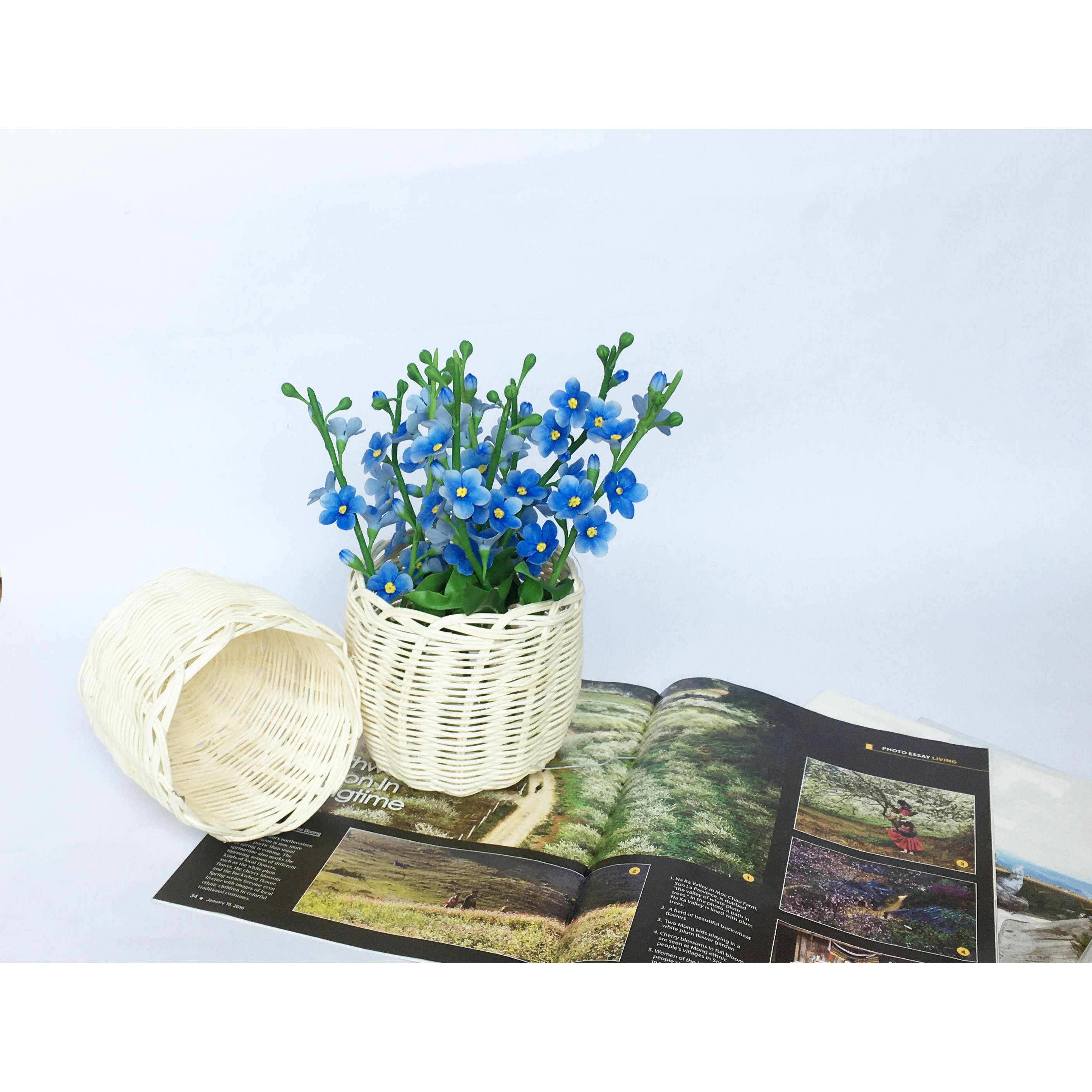 Giỏ mây bầu sọt mây đan bằng mây tự nhiên KT D12xC13 đựng đồ, cắm hoa, decor