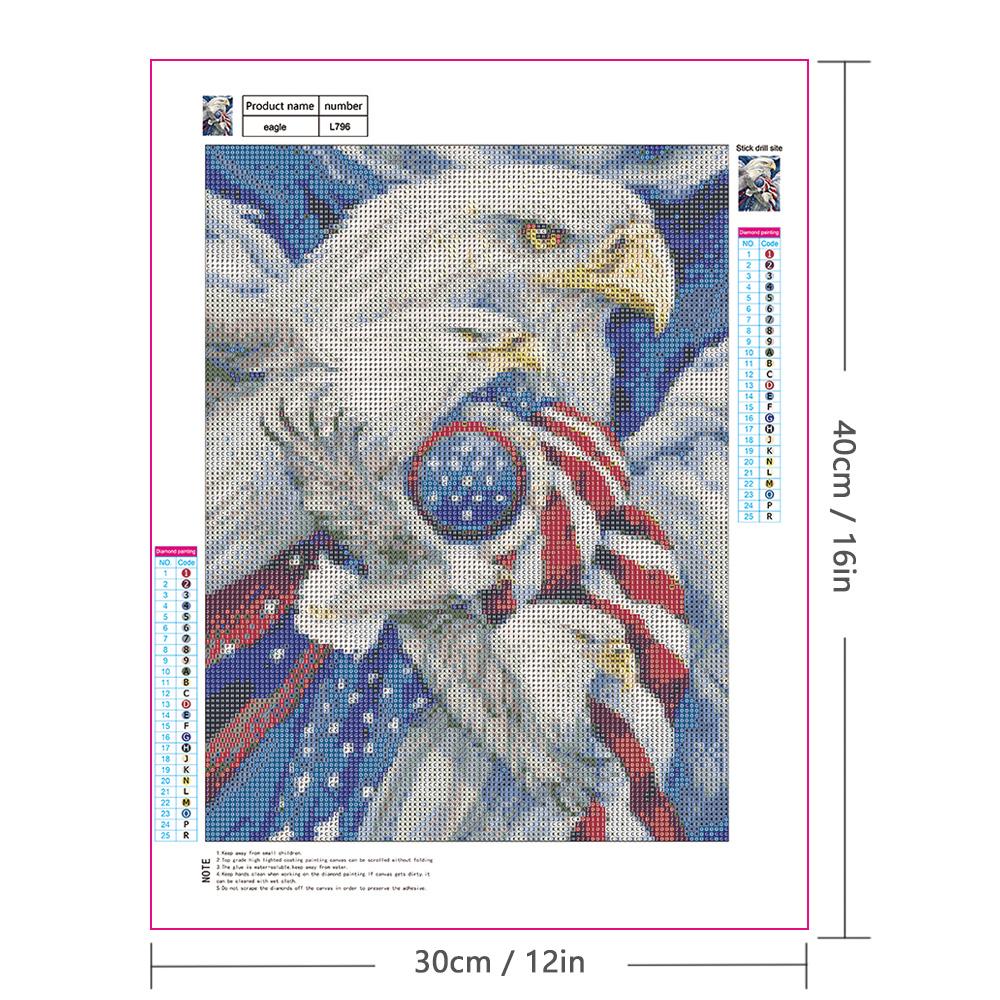 Tranh đính đá 5D hình đại bàng 12 x 16 inch