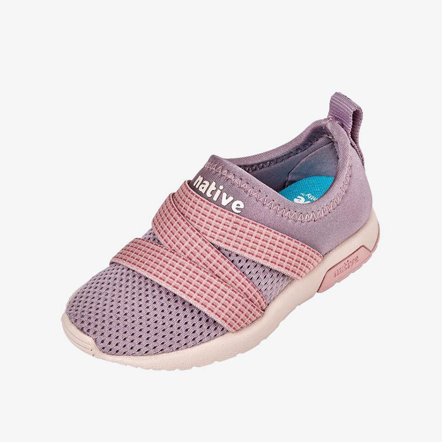 Giày Sneakers Bé Gái NATIVE Phoenix Sugarlite Junior - Wildflower Purple/ Rock Salt Pink/ Rose Pink