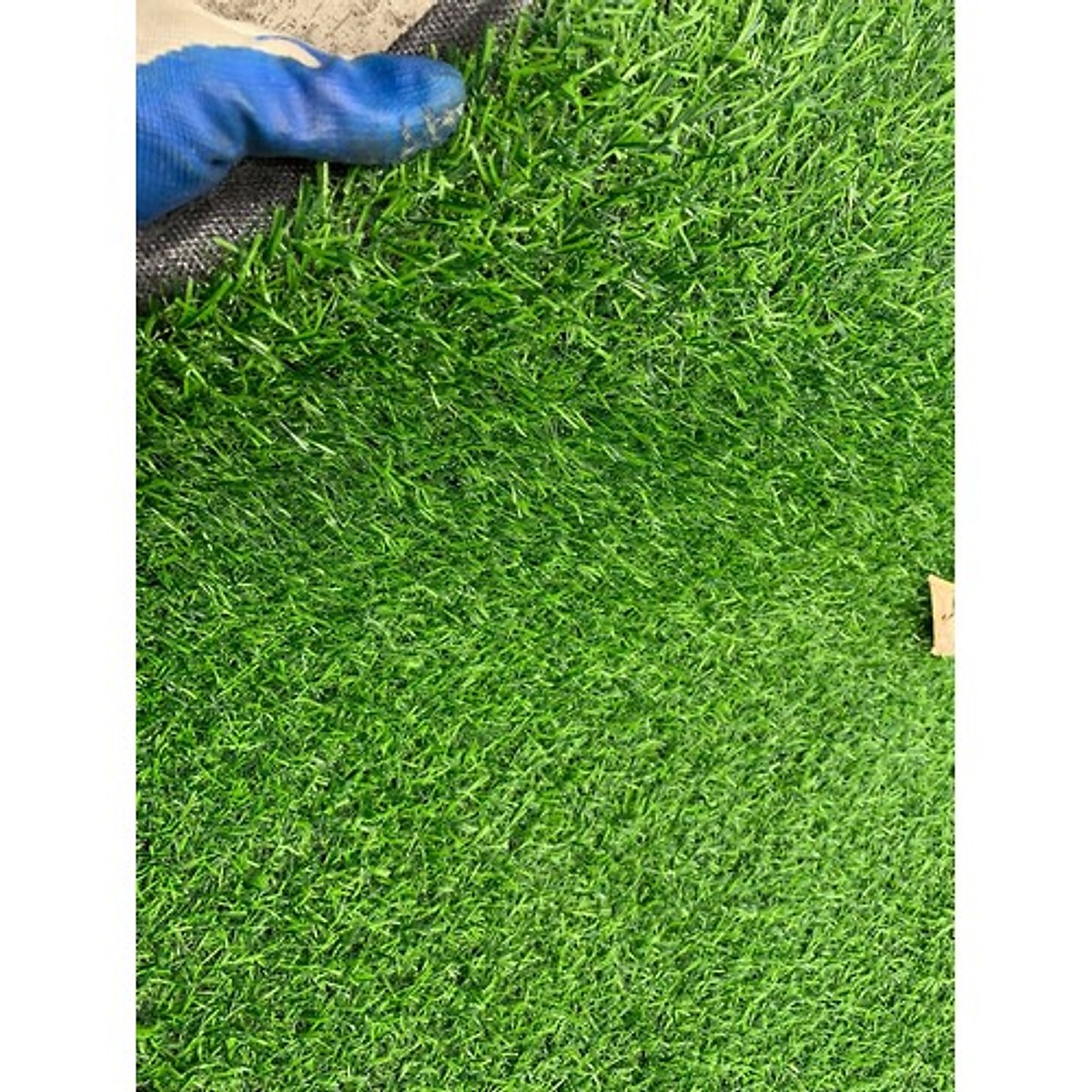 Thảm Cỏ Nhân Tạo Cao Cấp M02