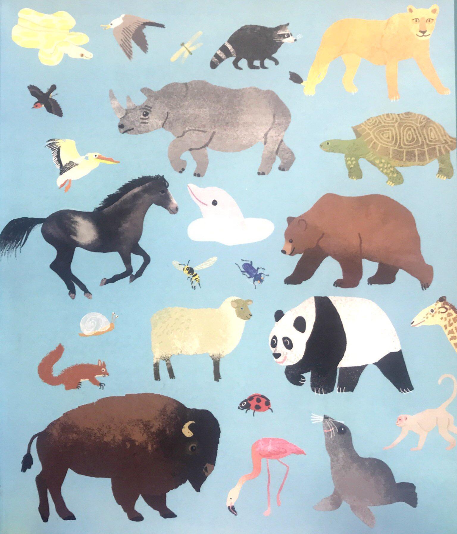 Noah's Ark