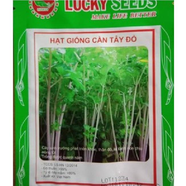 Hạt giống rau cần tây đỏ dể trồng f1 -gói 2gr