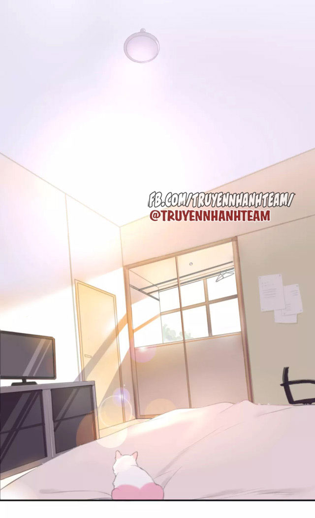 xã hội mèo chapter 1 7