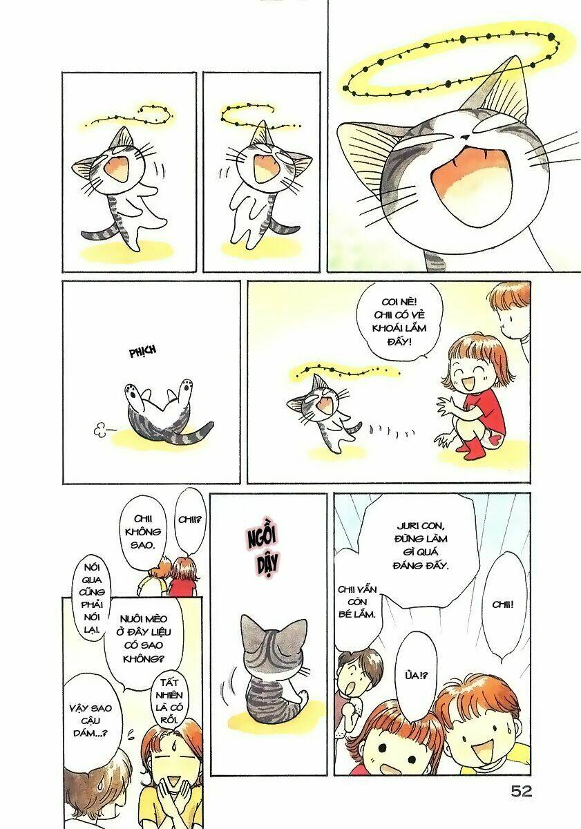 chi's sweet home chapter 45 5