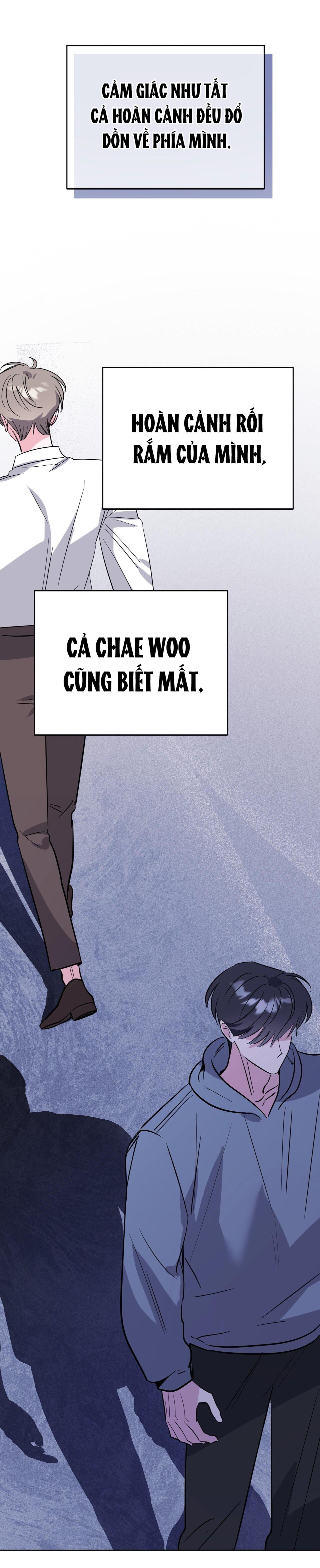 cạm bẫy đại học chapter 97 48