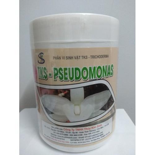 Phân vi sinh vật TKS PSEUDOMONAS hộp 1 kg